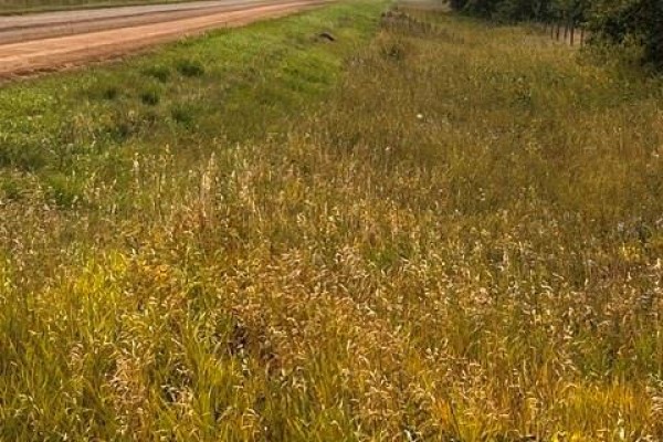 Fries Pasture, Leask Rm No  464, SK S0J1M0 Photo 3