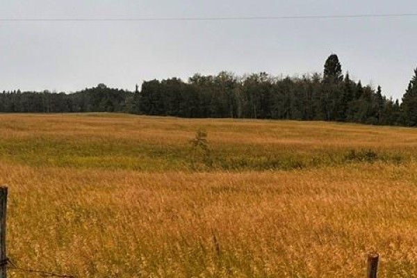 Fries Pasture, Leask Rm No  464, SK S0J1M0 Photo 4