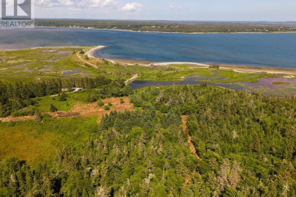Aerial view of a wooded coastal property with a body of water and marshland in the distance. - Front Acre Lot Conroad Beach Road, Lower East Chezzetcook