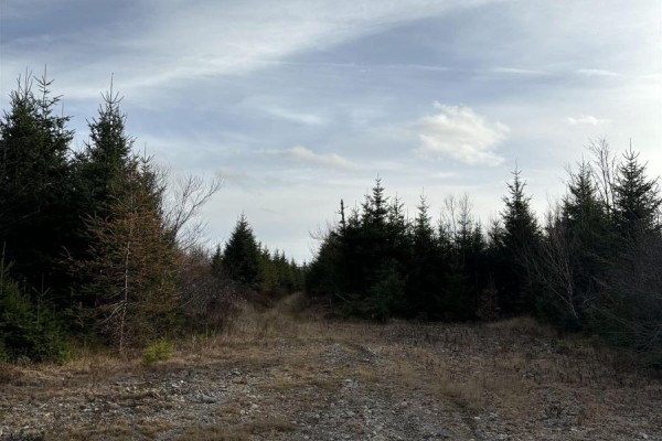 Gabarus Highway, Gabarus, NS B1K3S5 Photo 5