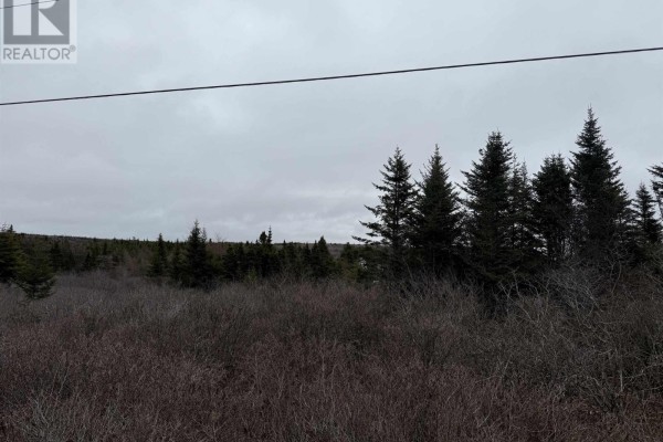 Georges Road, Upper Whitehead, NS B0H1T0 Photo 3