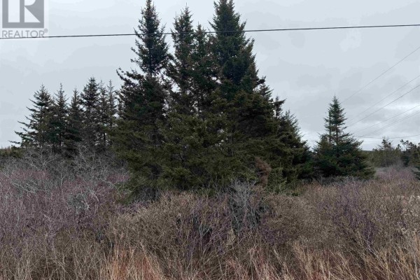 Georges Road, Upper Whitehead, NS B0H1T0 Photo 4