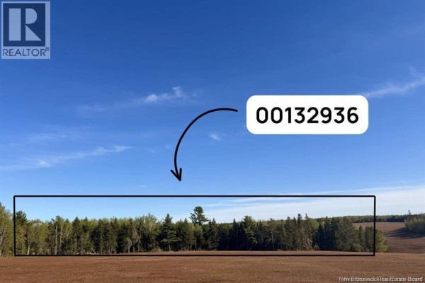 Expansive view of a treed lot with a clear blue sky above, indicating the property's natural setting. - Goshen Road, Portage Vale
