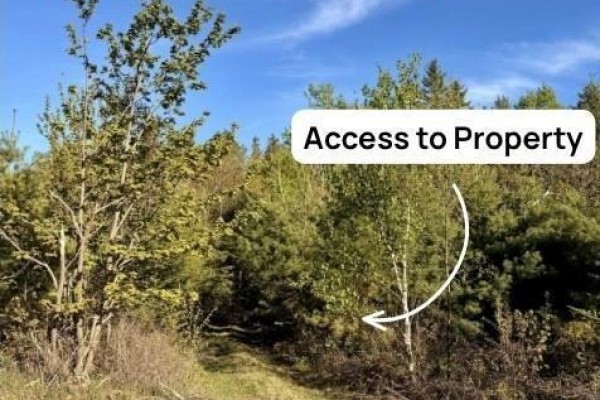 A dirt path leads into a wooded area, with trees and foliage on either side, indicating property access. - Goshen Road, Portage Vale