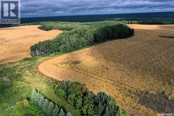 Aerial view of golden fields and trees bordering Grandfield Acreage under a cloudy sky. - Grandfield Acreage, Nipawin Rm No  487