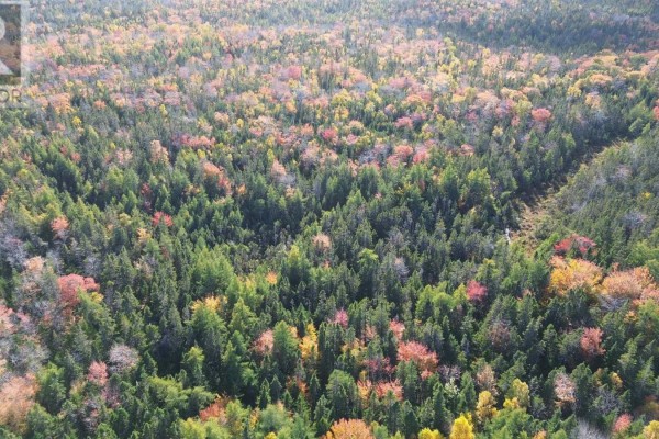 Grant 5122 Basin Road, Whiteside, NS B0E1J0 Photo 2