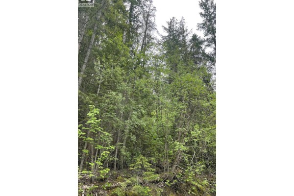 Greaves Road Lot# 24, Eagle Bay, BC V0E1T0 Photo 2