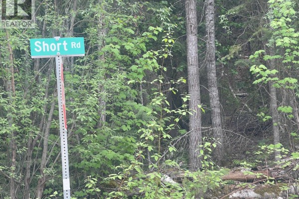 Greaves Road Lot# 24, Eagle Bay, BC V0E1T0 Photo 3