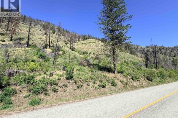Green Mountain Road Lot# 530s, Keremeos, BC V0X1N6 Photo 2