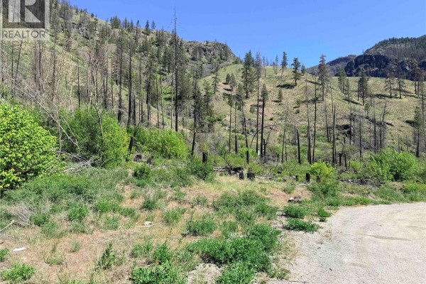 Green Mountain Road Lot# 530s, Keremeos, BC V0X1N6 Photo 5