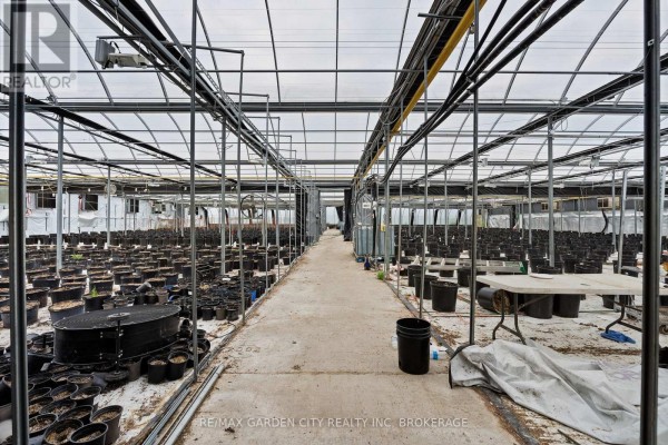 Greenhouse - 53825 Zion Road, Wainfleet, ON, photo 2