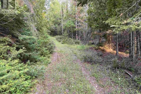 Hamilton Drive/ X Line, St  Joseph Island, ON, photo 2