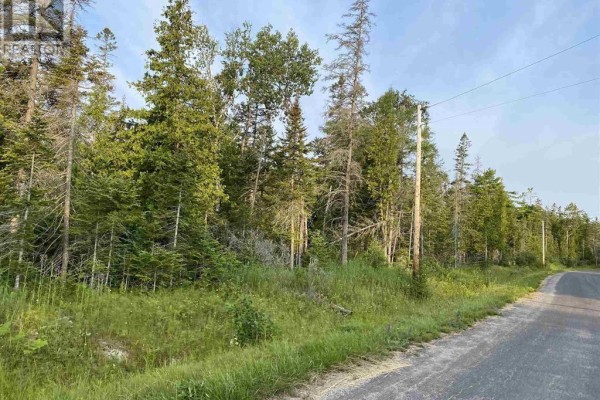 Hamilton Drive/ X Line, St  Joseph Island, ON, photo 3