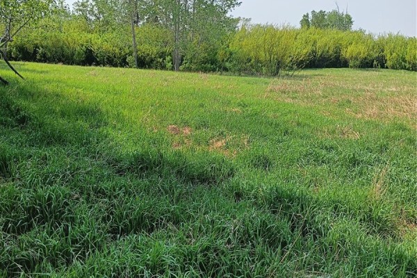 Hamm Acreage, Reford Rm No  379, SK S0K4W0 Photo 3