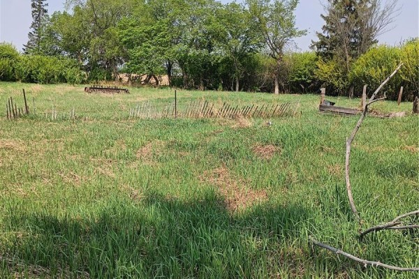 Hamm Acreage, Reford Rm No  379, SK S0K4W0 Photo 4