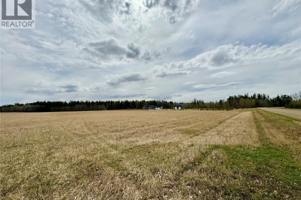 Hazelnut Acres Lot, Buckland Rm No  491, SK S6V5R5 Photo 2