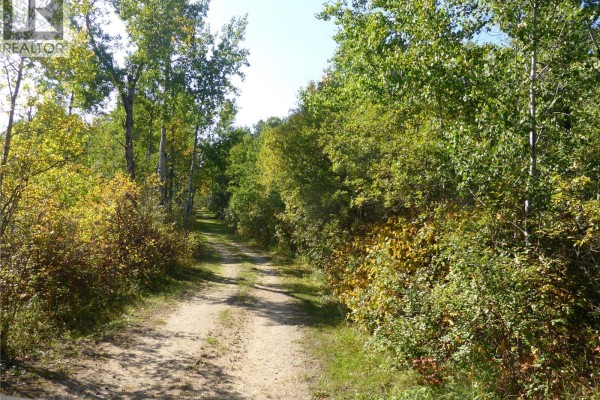 Primary Bedroom - 160 Acres Near Turtle Lake, Rm Of Mervin, Turtle Lake, SK S0M1J0 Photo 5
