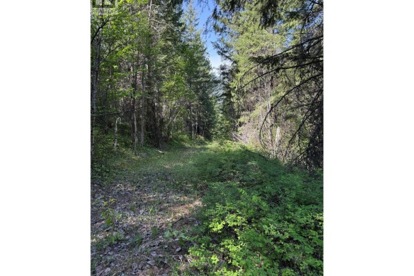 Hepburn Road Lot# 6-b, Chase, BC V0E1M1 Photo 4