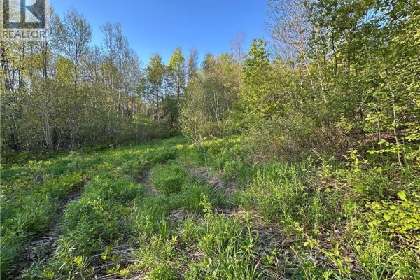 Highfield Road, Pearsonville, NB E5P1T2 Photo 3