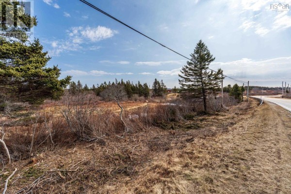 View of the land along the road, featuring sparse vegetation and distant trees. - Highway 1, Beaver River