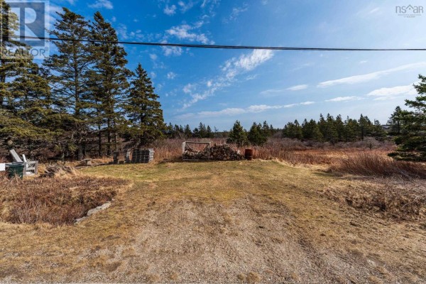 Open area of land with a gravel surface, surrounded by brush and trees. - Highway 1, Beaver River