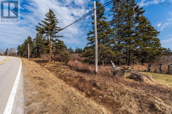 Side view of the property along the road, showing trees and brush with power lines. - Highway 1, Beaver River