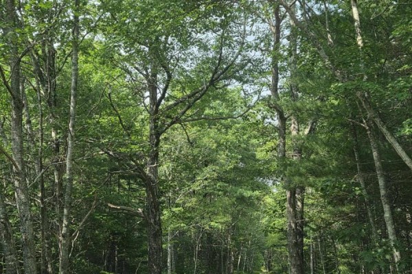 Highway 103, Sable River, NS, photo 3