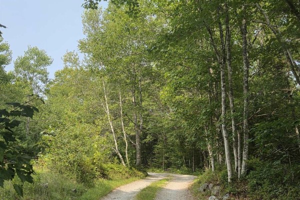 Highway 103, Sable River, NS B0T1W0 Photo 4