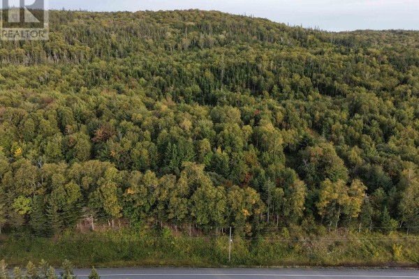 Highway 105, Englishtown, NS B0E1B0 Photo 4