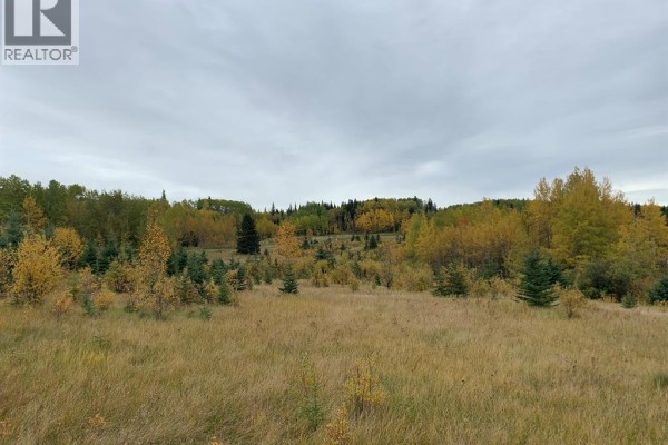 Highway 16 And Range Road 184, Rural Yellowhead County, AB, photo 3
