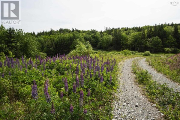 Highway 19, Glenville, NS, photo 3