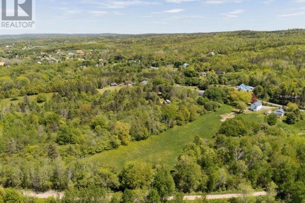 Aerial view of rolling green hills covered in trees and scattered homes under a bright sky. - Highway 201, Moschelle