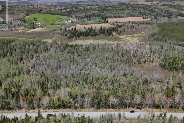 Highway 252, Nevada Valley, NS B0E1X0 Photo 4