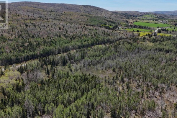Highway 252, Nevada Valley, NS B0E1X0 Photo 5