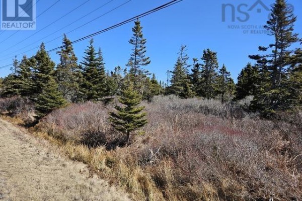 A natural landscape with rocks, dry brush, and evergreen trees under a bright blue sky. - Highway 3, Charlesville