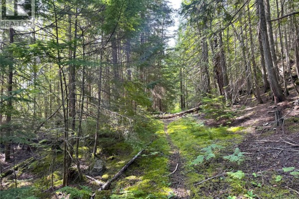 Highway 31 Lot# 5, Fletcher Creek, BC V0G1M0 Photo 2