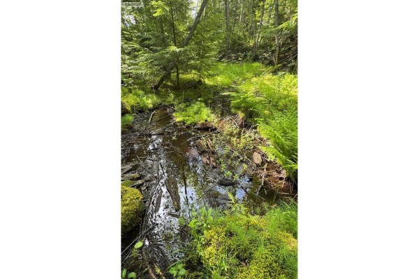 Highway 31 Lot# 5, Fletcher Creek, BC V0G1M0 Photo 3