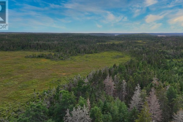Aerial view of the property with parcel lines, showing forested land with small bodies of water. - Highway 327, Gabarus