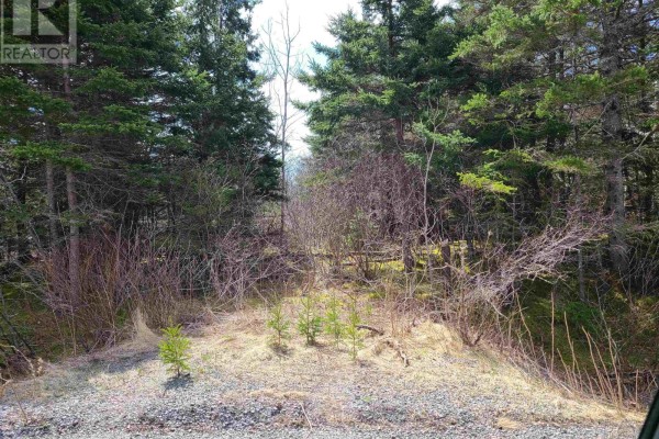 Highway 344, Manassette Lake, NS B0H1G0 Photo 4