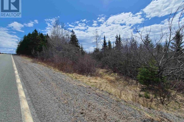 Highway 344, Manassette Lake, NS B0H1G0 Photo 5