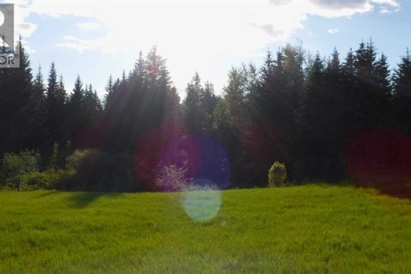 Highway 43, Rural Greenview No  16, M D  Of, AB T0H3N0 Photo 4