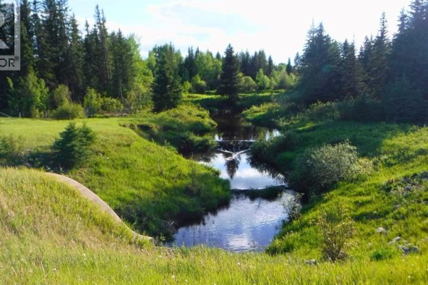Highway 43, Rural Greenview No  16, M D  Of, AB T0H3N0 Photo 5