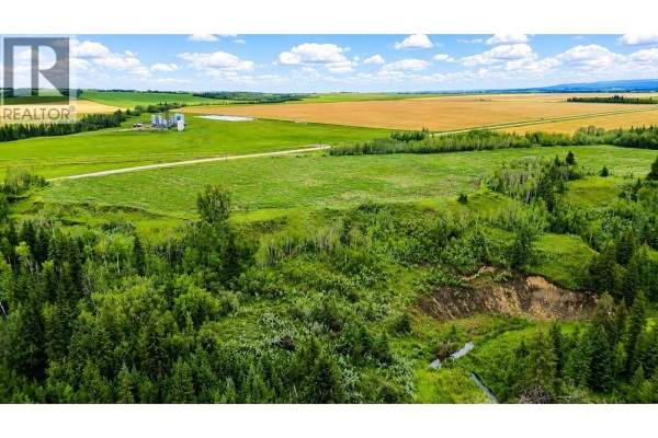 Highway 49, Dawson Creek, BC V1G0G1 Photo 4