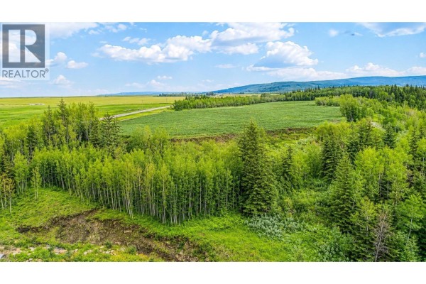 Highway 49, Dawson Creek, BC V1G0G1 Photo 5