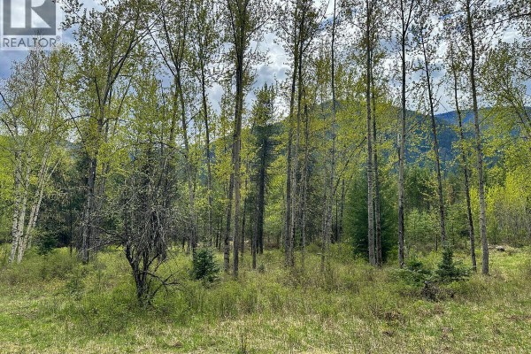 Highway 6 Lot# 2, Passmore, BC V0G2E0 Photo 4