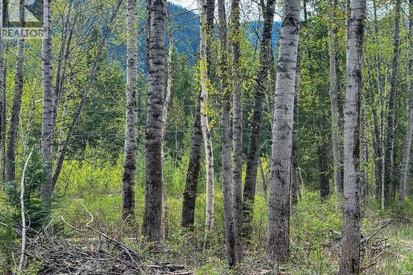 Highway 6 Lot# 2, Passmore, BC V0G2E0 Photo 5