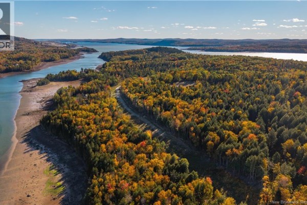 Hills Road, Oak Bay, NB E3L4K6 Photo 5