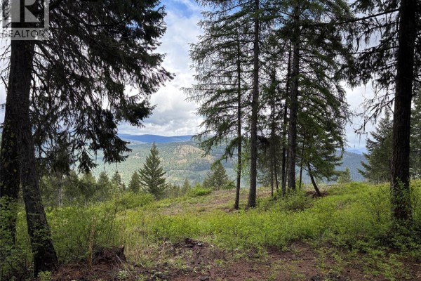 Lot 2 Hulme Creek Road, Rock Creek, BC V0H1Y0 Photo 2