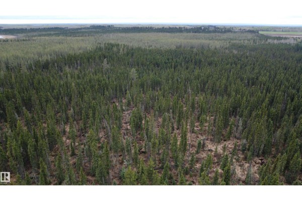 Hwy 2 Rr 263, Rural Lesser Slave River M D , AB T0G2B0 Photo 5