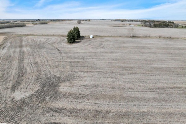 Hwy 44 Twp Rd 541, Rural Sturgeon County, AB T8T0E2 Photo 5